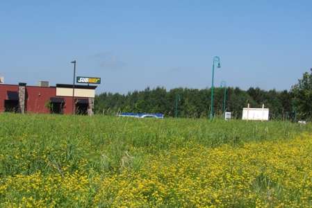 Commercial Property Site For Sale Off I-35 Carlton County MN - image 2