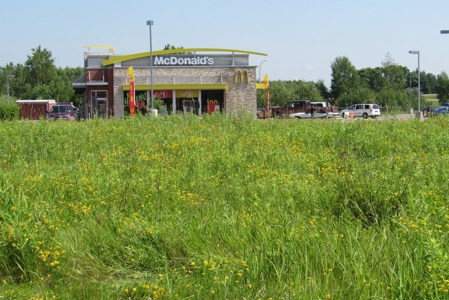Commercial Property Site For Sale Off I-35 Carlton County MN - image 4
