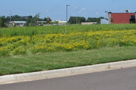 Commercial Property Site For Sale Off I-35 Carlton County MN - image 9