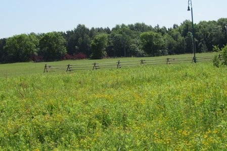 Commercial Property Site For Sale Off I-35 Carlton County MN - image 8