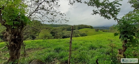 77 Hectares Farm For Sale In Chepo Panama - image 11