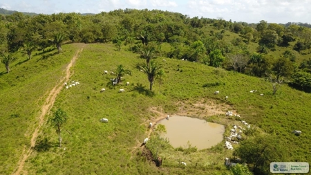 77 Hectares Farm For Sale In Chepo Panama - image 19