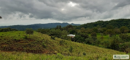 77 Hectares Farm For Sale In Chepo Panama - image 14