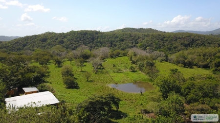 77 Hectares Farm For Sale In Chepo Panama - image 18