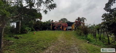 77 Hectares Farm For Sale In Chepo Panama - image 3