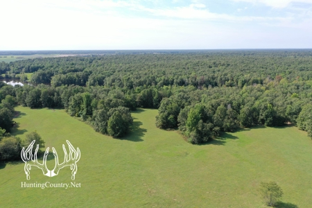 Arkansas Country Home For Sale With Lake - image 27