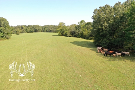 Arkansas Country Home For Sale With Lake - image 31
