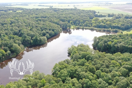 Arkansas Country Home For Sale With Lake - image 2