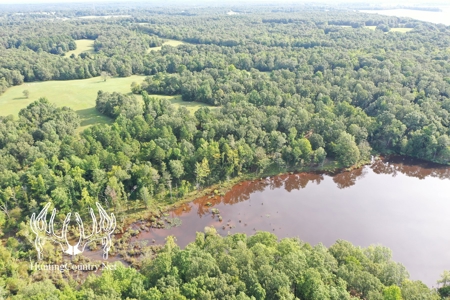 Arkansas Country Home For Sale With Lake - image 3
