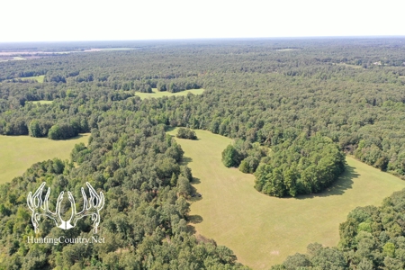 Arkansas Country Home For Sale With Lake - image 35