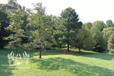 Arkansas Country Home For Sale With Lake - image 16