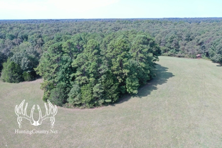 Arkansas Country Home For Sale With Lake - image 33