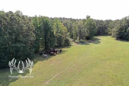 Arkansas Country Home For Sale With Lake - image 30