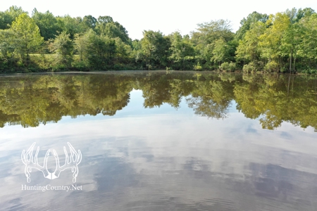 Arkansas Country Home For Sale With Lake - image 6