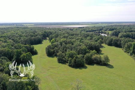 Arkansas Country Home For Sale With Lake - image 28