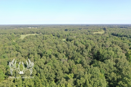 Arkansas Country Home For Sale With Lake - image 19