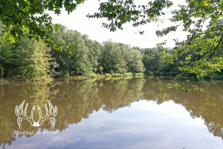 Arkansas Country Home For Sale With Lake - image 22