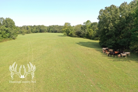 Arkansas Country Home For Sale With Lake - image 32
