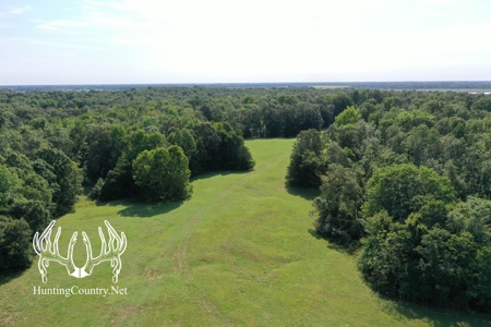 Arkansas Country Home For Sale With Lake - image 29