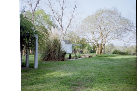 Circa 1835 Plantation Home on 50.76 Acres in South Carolina - image 35