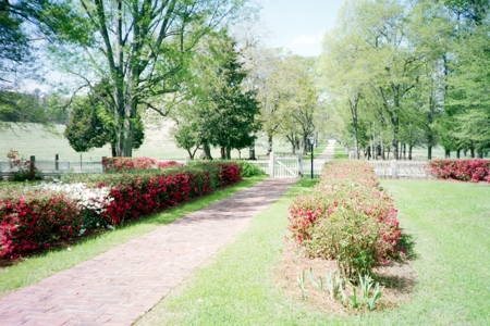 Circa 1835 Plantation Home on 50.76 Acres in South Carolina - image 28