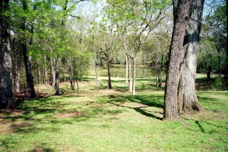 Circa 1835 Plantation Home on 50.76 Acres in South Carolina - image 31