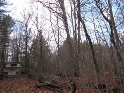Land for Sale in Glenburn - image 5