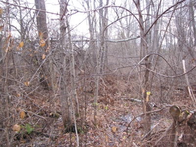 Land for Sale in Glenburn - image 3