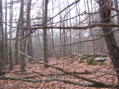 Land for Sale in Glenburn - image 7