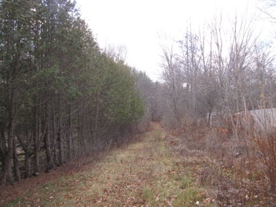 Land for Sale in Glenburn - image 2