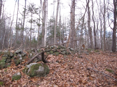Land for Sale in Glenburn - image 12