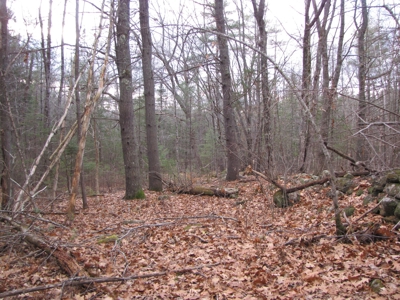 Land for Sale in Glenburn - image 10