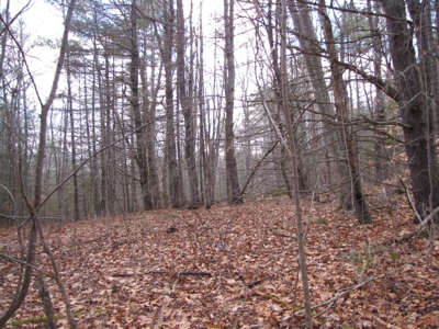 Land for Sale in Glenburn - image 6