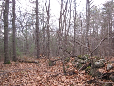 Land for Sale in Glenburn - image 9