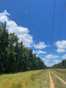 Hunting Property for Sale in Central Arkansas Near Sheridan - image 36