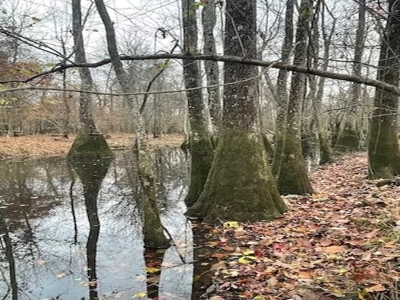 Hunting Property for Sale in Central Arkansas Near Sheridan - image 14