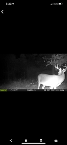 Hunting Property for Sale in Central Arkansas Near Sheridan - image 49
