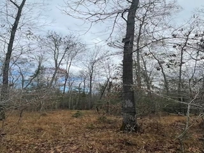 Hunting Property for Sale in Central Arkansas Near Sheridan - image 23