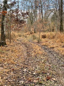 Hunting Property for Sale in Central Arkansas Near Sheridan - image 8