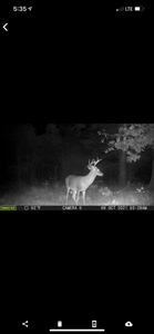 Hunting Property for Sale in Central Arkansas Near Sheridan - image 44