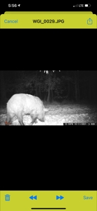 Hunting Property for Sale in Central Arkansas Near Sheridan - image 42