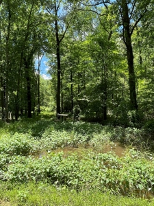 Hunting Property for Sale in Central Arkansas Near Sheridan - image 34