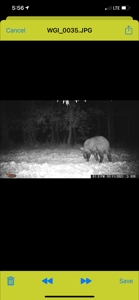 Hunting Property for Sale in Central Arkansas Near Sheridan - image 41