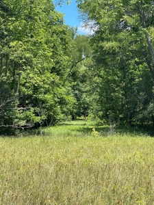 Hunting Property for Sale in Central Arkansas Near Sheridan - image 32