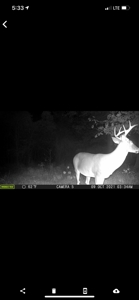 Hunting Property for Sale in Central Arkansas Near Sheridan - image 48