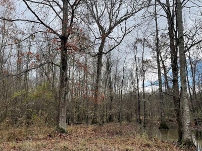 Hunting Property for Sale in Central Arkansas Near Sheridan - image 24