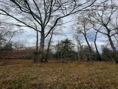 Hunting Property for Sale in Central Arkansas Near Sheridan - image 17