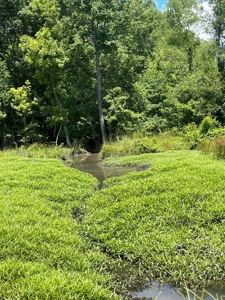 Hunting Property for Sale in Central Arkansas Near Sheridan - image 30