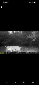 Hunting Property for Sale in Central Arkansas Near Sheridan - image 46