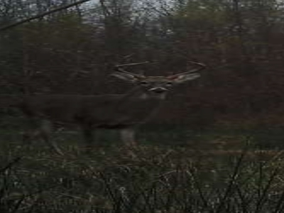 Hunting Property for Sale in Central Arkansas Near Sheridan - image 2